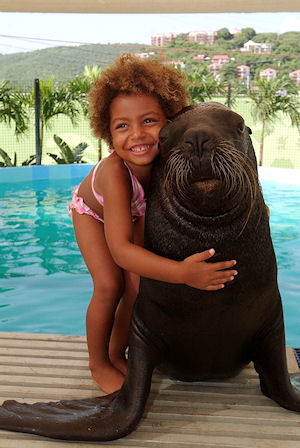 St. Thomas Sea Lion Swim